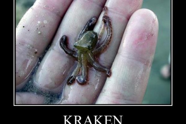 Кракен магазин krakens13 at