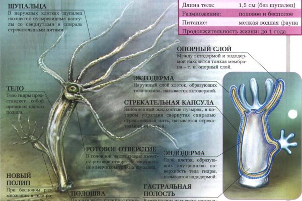 Кракен современный даркнет маркетплейс