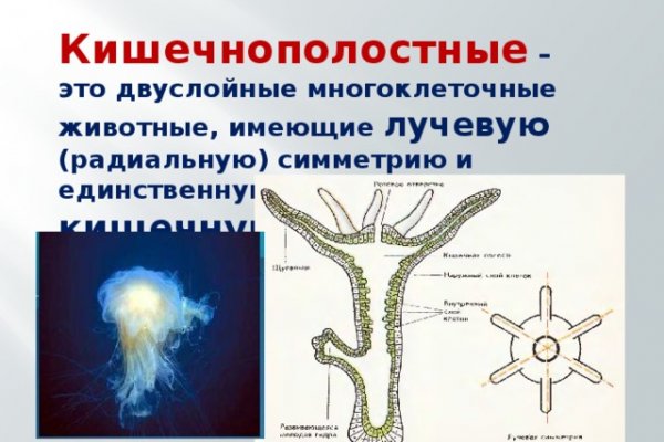Нарко сайт кракен