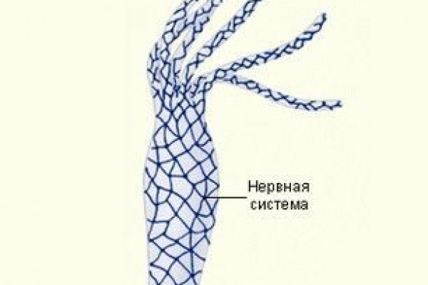 Кракен ссылка тор